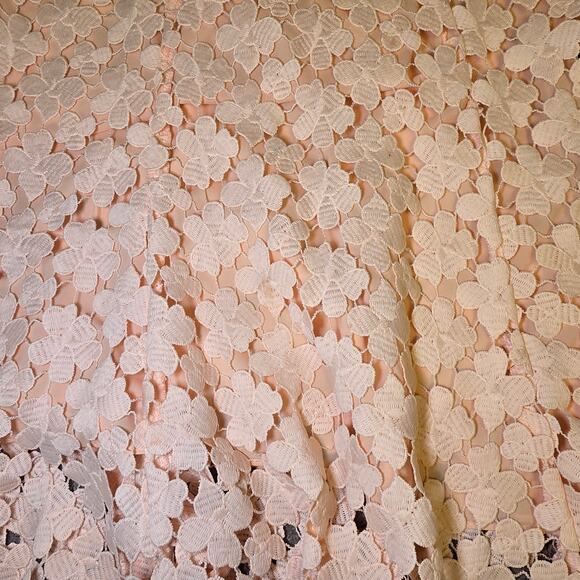 Shoshanna Blush Pink Lace Franklin Midi Dress Strapless Cocktail Formal Gown 6 - Picture 5 of 8